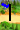 your_troup